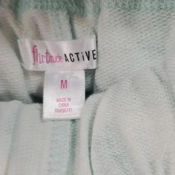 Flirtitude pale mint shorts - Picture 2 of 7